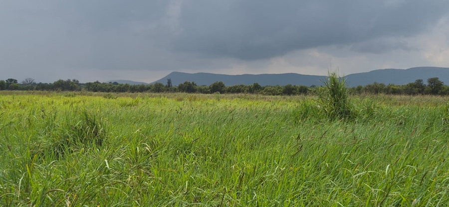 0 Bedroom Property for Sale in Koster North West